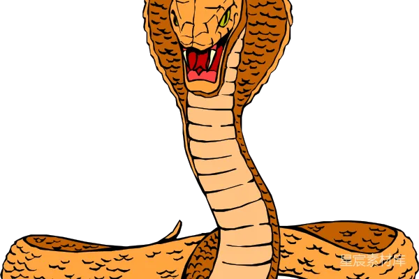 元素素材 cobra