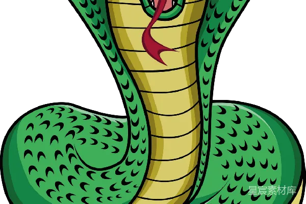 元素素材 卡通眼镜蛇插图