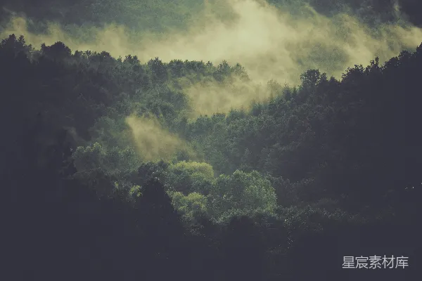高清摄影 雾中山的航拍