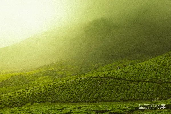 高清摄影 绿草丛中升起的烟雾