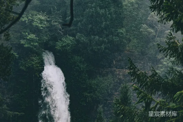 高清摄影 森林中白天的瀑布