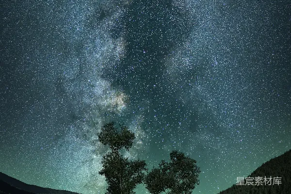 高清摄影 绿叶树木浮在星光下的水体上