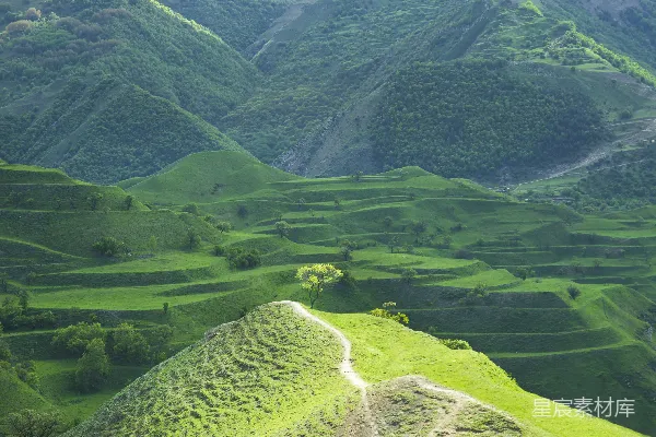 高清摄影 背景是连绵山脉的绿意盎然山谷的一瞥