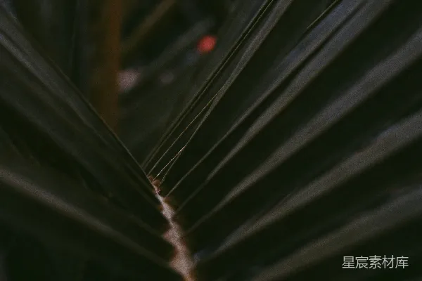 高清摄影 黑色表面的照片