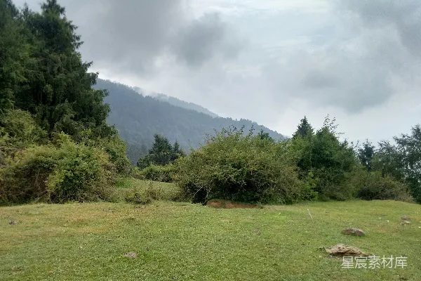 高清摄影 背景中有树和一座山的田野