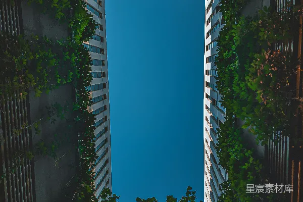 高清摄影 透过树林看的一栋建筑的景象