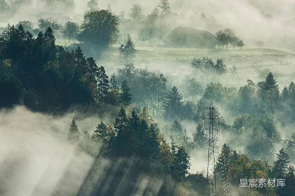 高清摄影 雾天中拍摄的大树和房屋的 aerial 视角