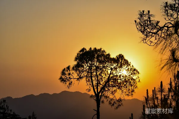 高清摄影 夕阳落在一棵树后面，远处有山峦在背景中。