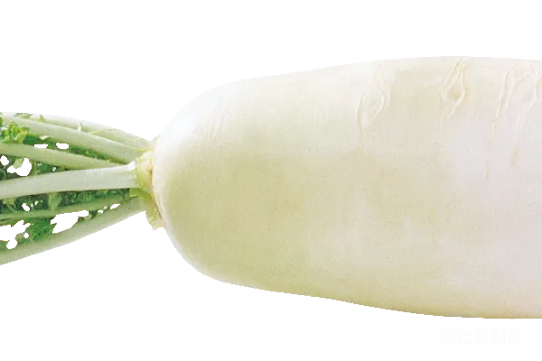 元素素材 萝卜