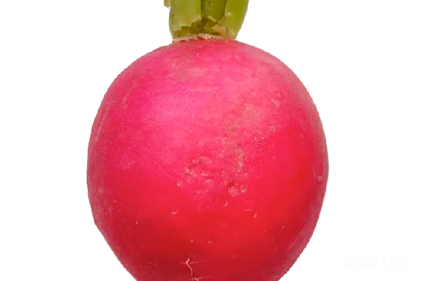 元素素材 萝卜