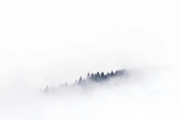 高清摄影 远处一片迷雾中的风景，树木隐约可见。