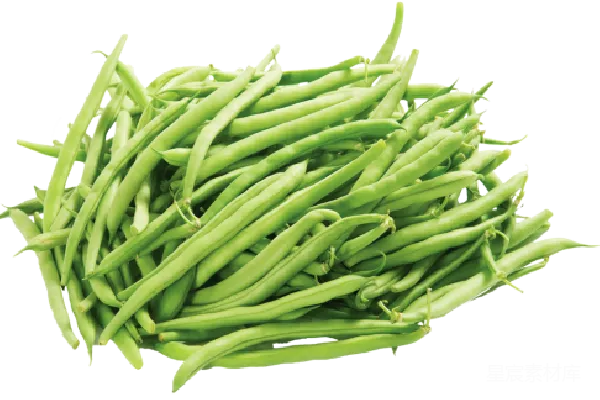 元素素材 绿色