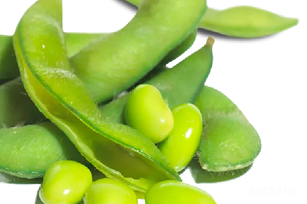 元素素材 透明