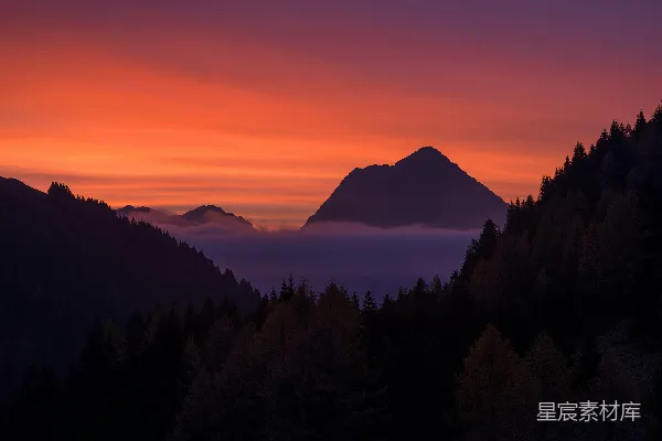 高清摄影 夕阳下的树影轮廓