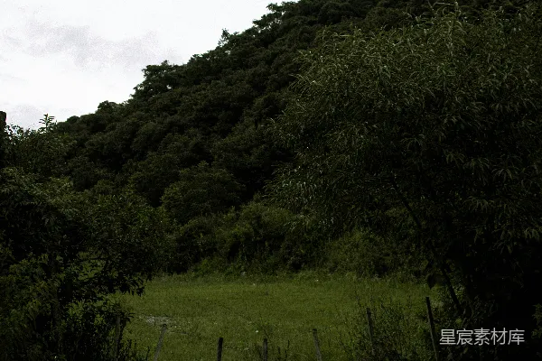 高清摄影 前景中有一道篱笆的草地小山
