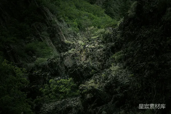 高清摄影 山间白天绿树