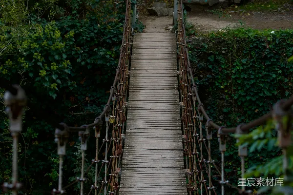 高清摄影 森林里一座木制悬索桥横跨一条河流