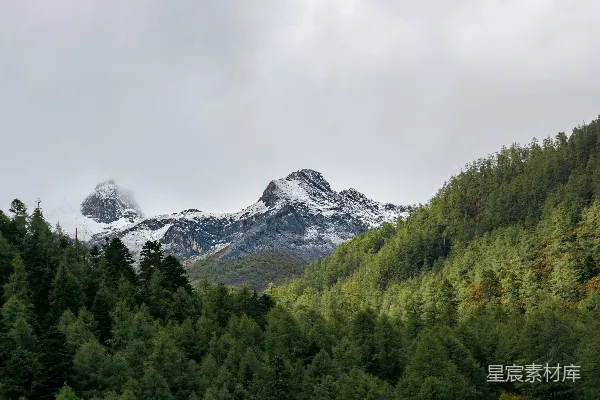 高清摄影 山脉和树木