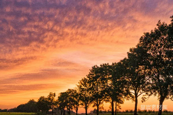 高清摄影 夕阳下的绿树与绿地毯一般。