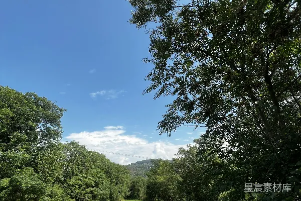 高清摄影 背景中有草甸、树木和山峰的草地
