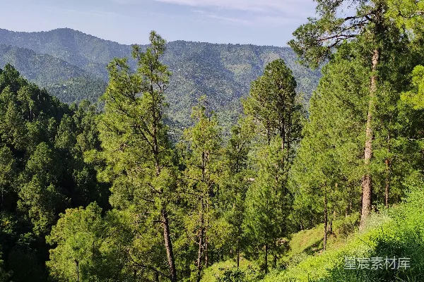 高清摄影 山间景色
