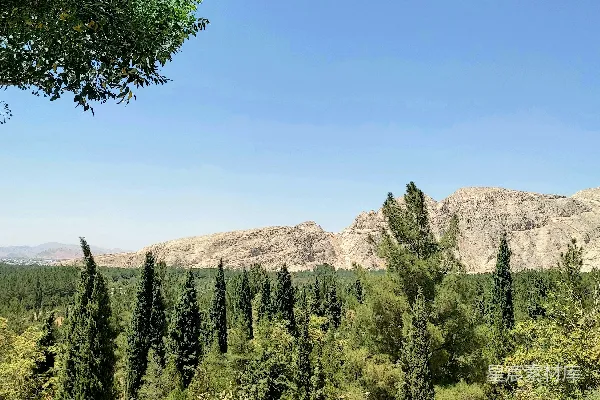 高清摄影 前景中有树木的山峦景色