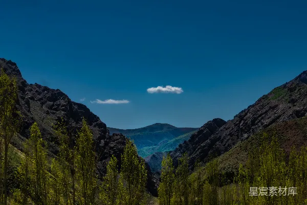 高清摄影 一条环绕着树木和山峦的土路