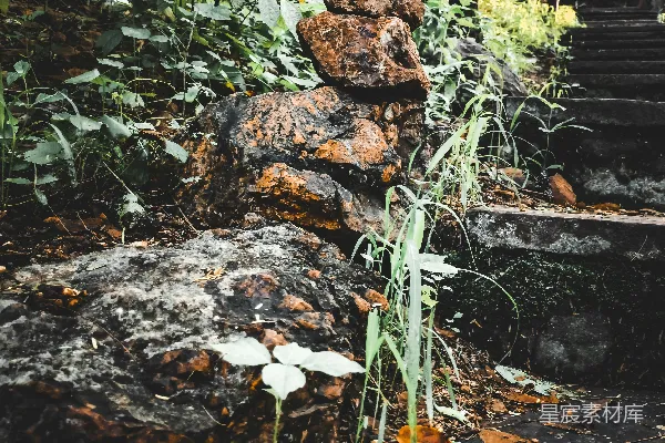 高清摄影 路边一堆石头