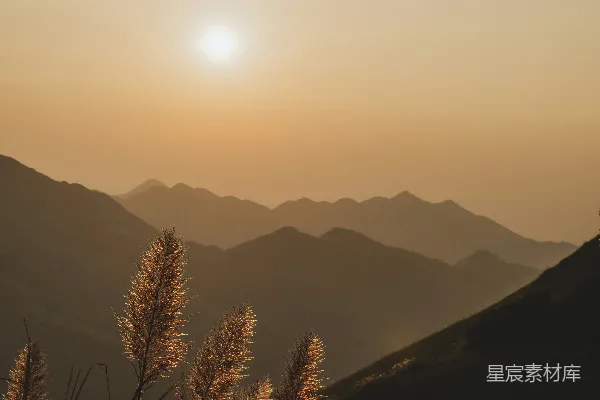 高清摄影 背景中有树木和山的风景