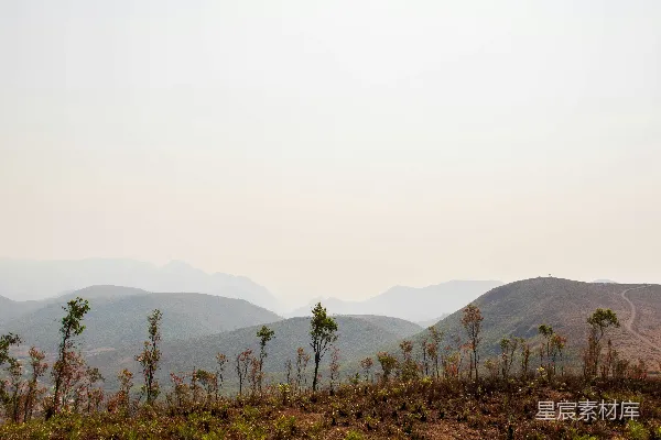 高清摄影 山峦与树木在背景中的风景概览