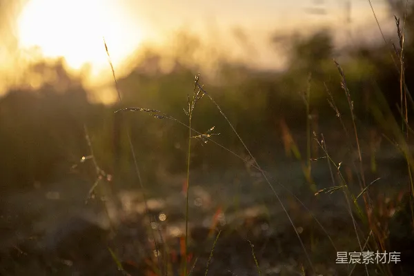 高清摄影 夕阳落在于一片草地上方