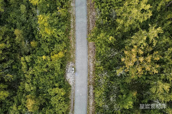 高清摄影 森林中的一条路
