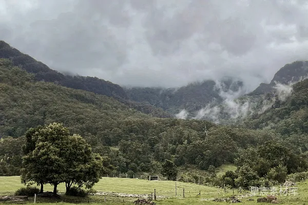 高清摄影 山脚下绿草地上有一片绿树，在白云的映衬下，白天景色如画。
