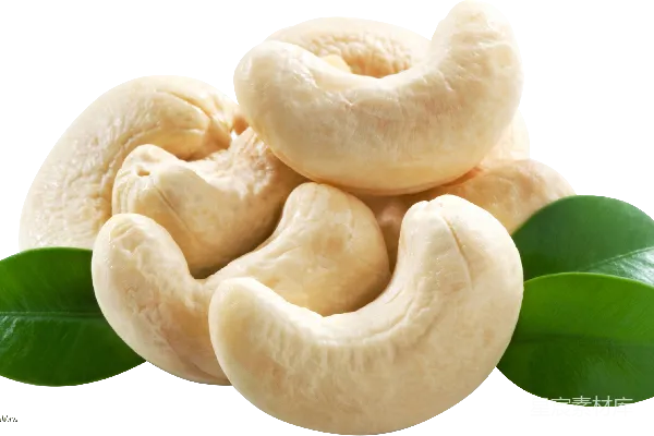 元素素材 薄荷
