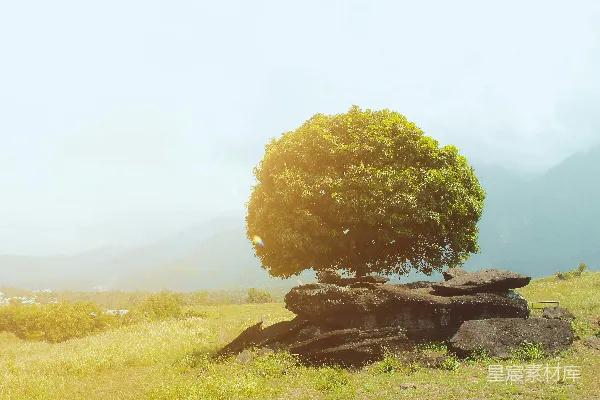 高清摄影 绿树环绕着近水的绿色草地上的白天景色