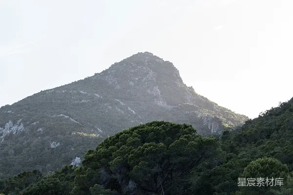 高清摄影 山中绿树白日在蓝天下