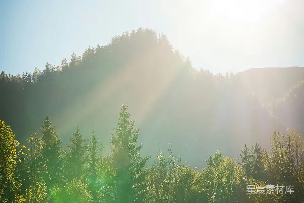 高清摄影 阳光灿烂照耀在一片森林地带。