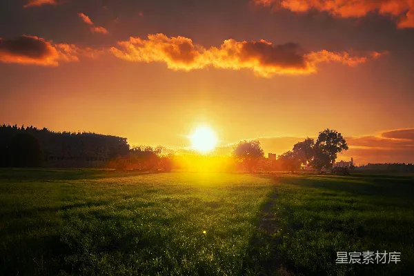 高清摄影 夕阳西下，一片草场。