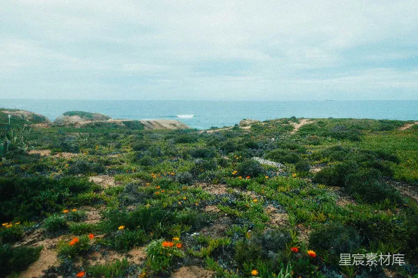 高清摄影 山顶上俯瞰的大海景色