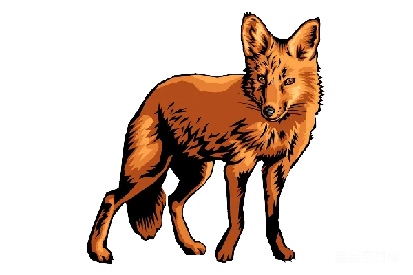 元素素材 卡通狐狸插图