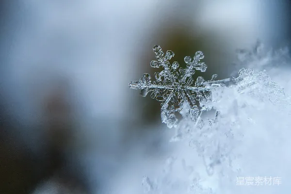 高清摄影 雪花的特写照片