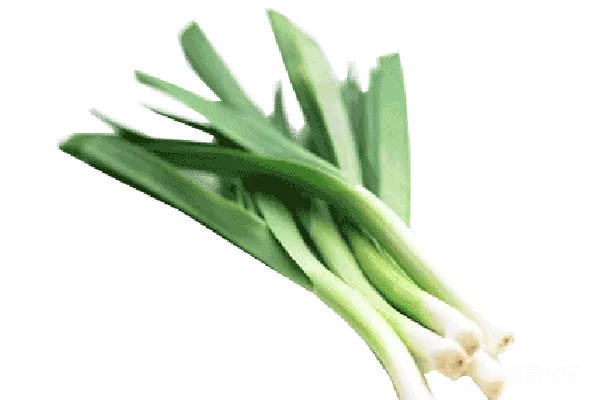 元素素材 葱