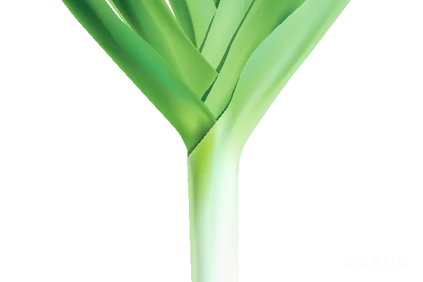 元素素材 葱