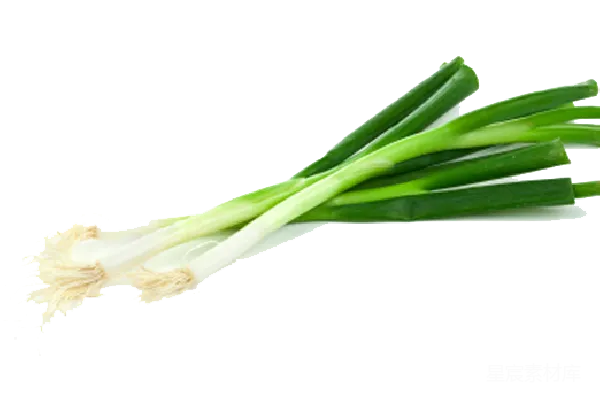 元素素材 葱
