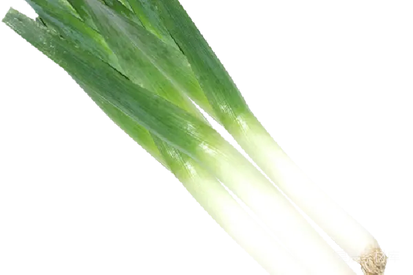 元素素材 萝卜