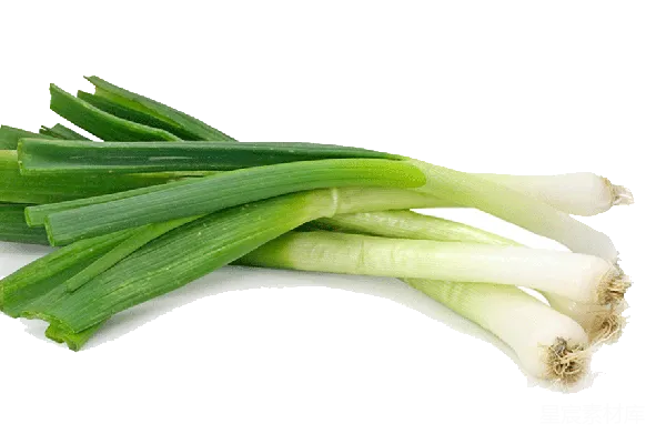 元素素材 葱