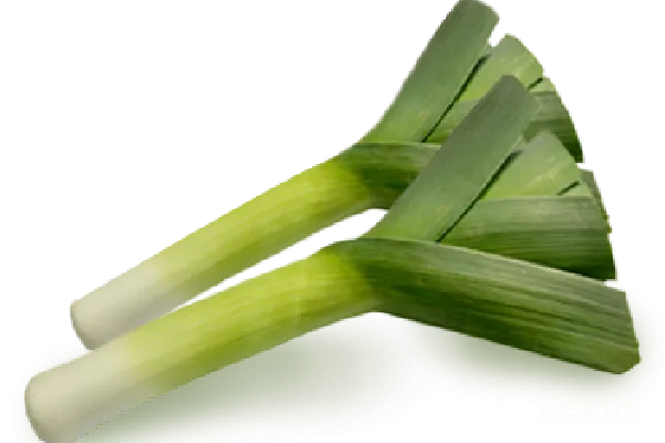 元素素材 葱