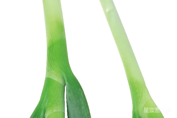 元素素材 葱