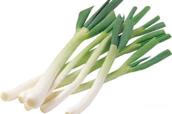 元素素材 葱