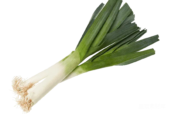 元素素材 葱